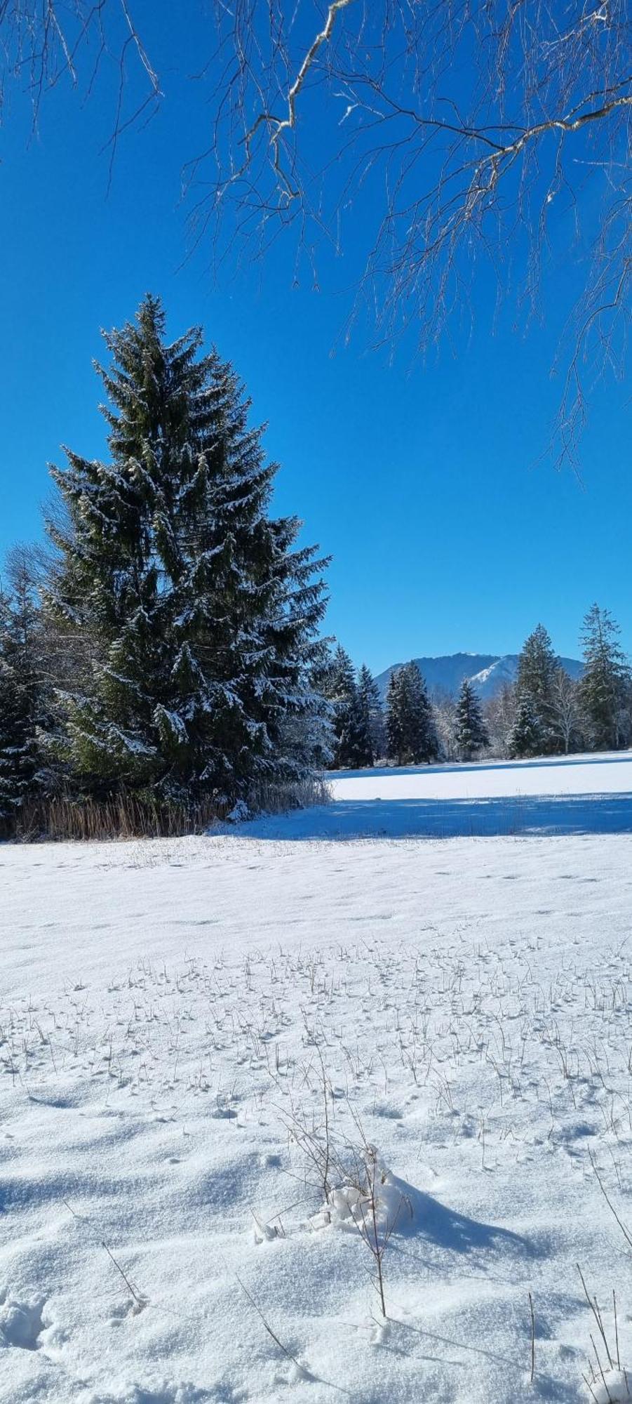 Boutique Hotel Angerer Murnau am Staffelsee Luaran gambar