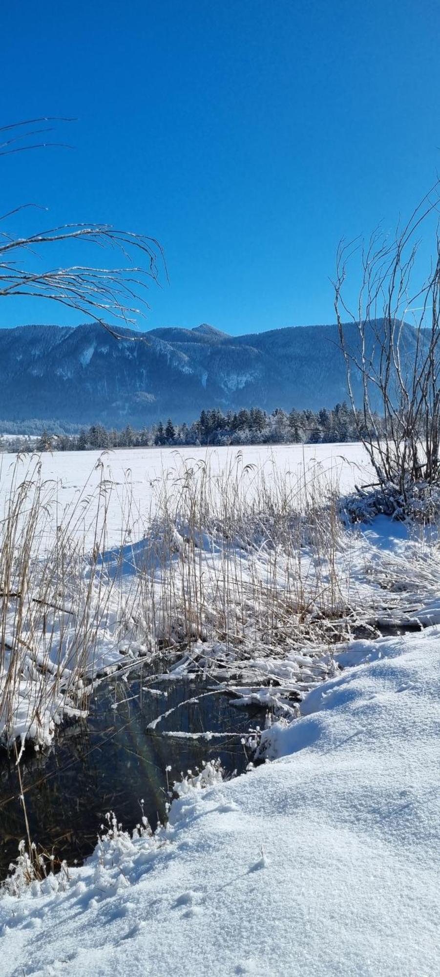 Boutique Hotel Angerer Murnau am Staffelsee Luaran gambar