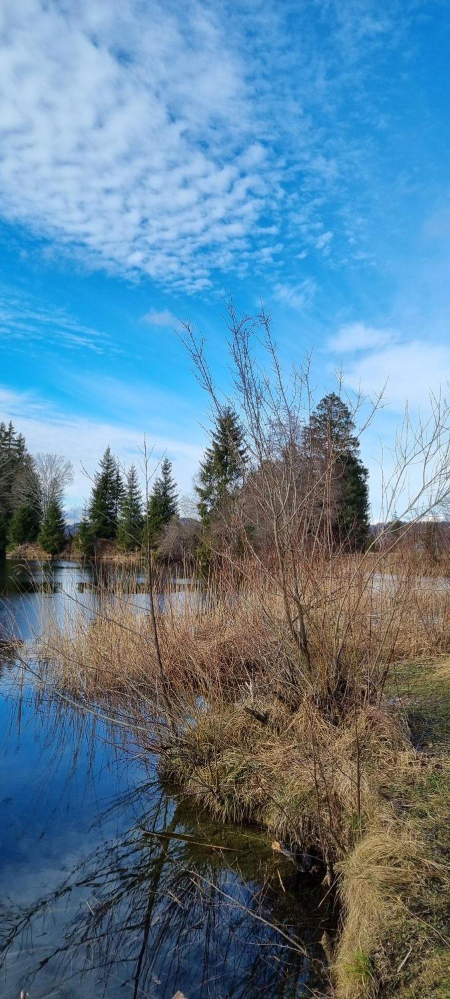 Boutique Hotel Angerer Murnau am Staffelsee Luaran gambar